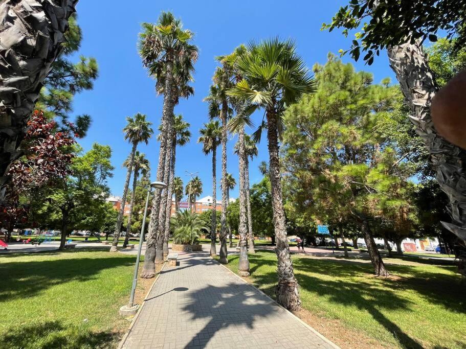 Апартаменти Sol Y Playa Costa Blanca Торрев'єха Екстер'єр фото